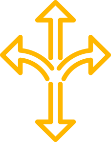 Diversification Icon